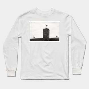 Three seagulls - Beadnell, Northumberland, UK Long Sleeve T-Shirt